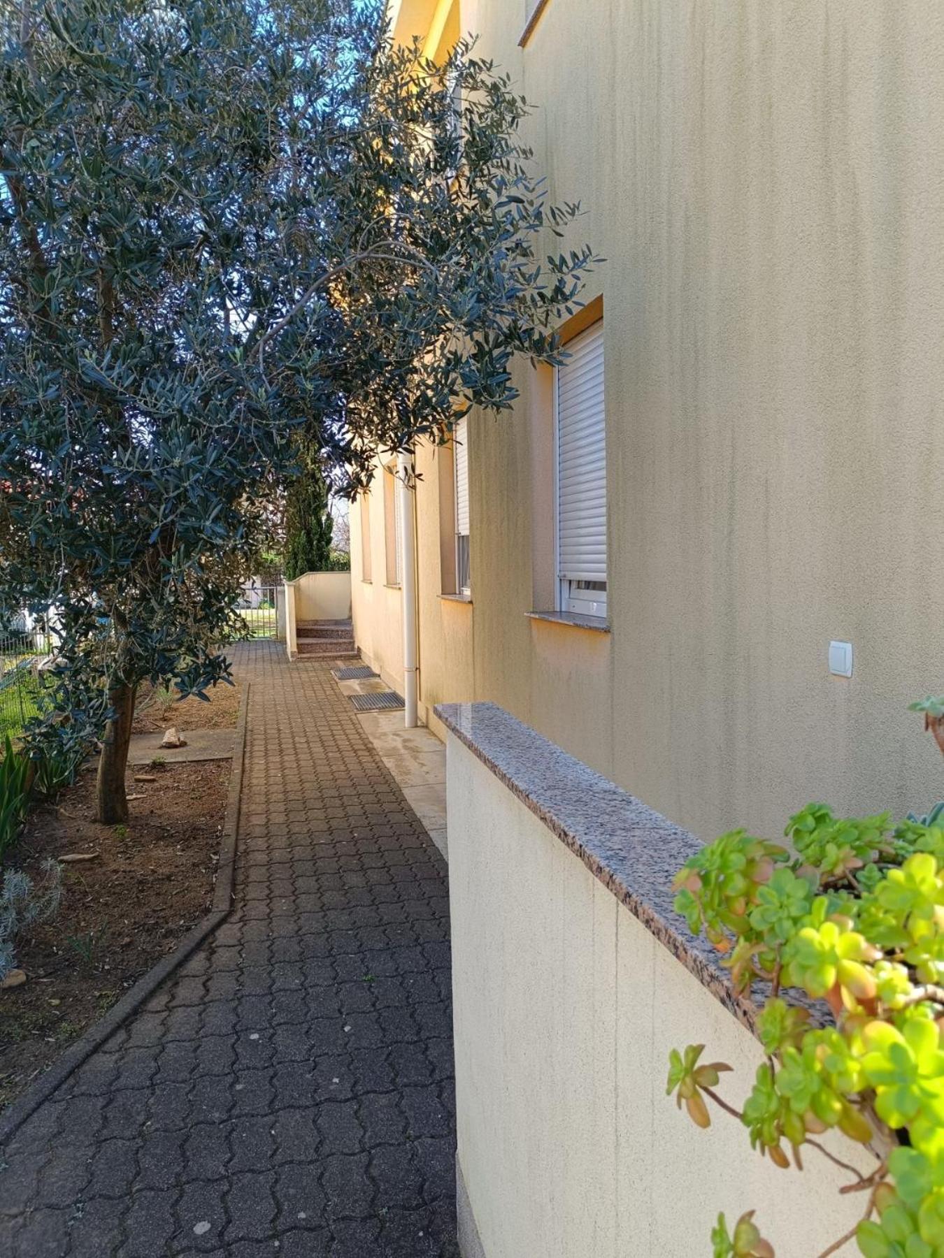 Apartments David - Sabunike Near Nin Privlaka  Dış mekan fotoğraf