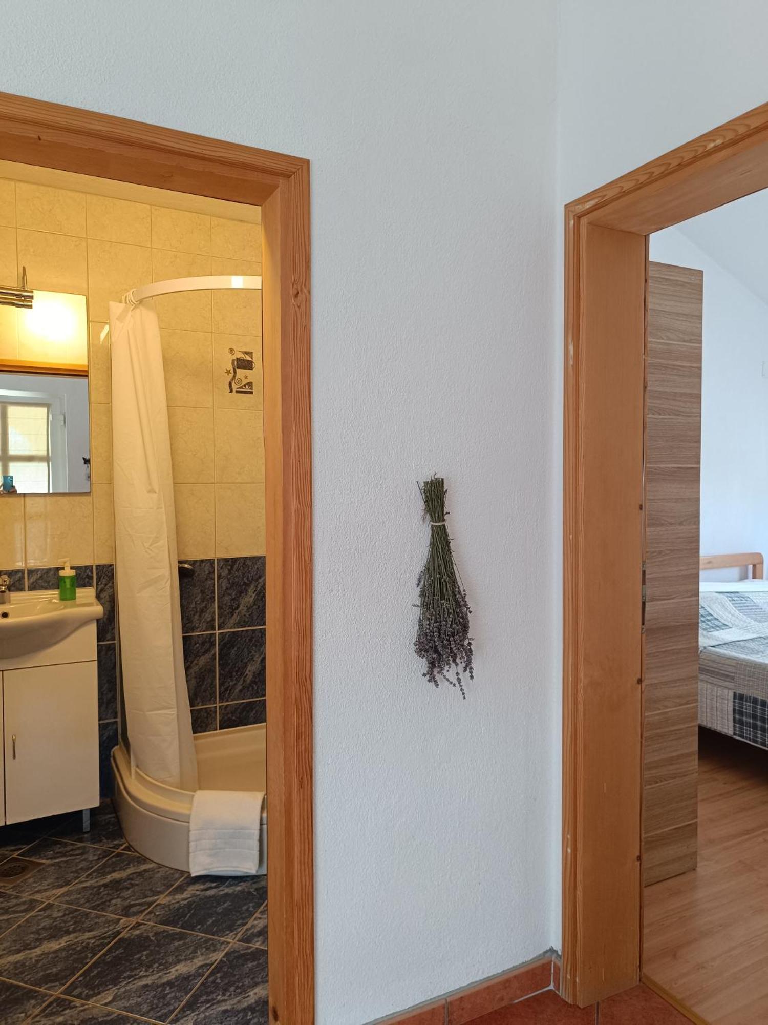 Apartments David - Sabunike Near Nin Privlaka  Dış mekan fotoğraf